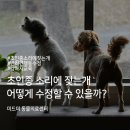 미드미 동물의료센터 네이버블로그