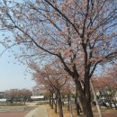 반월공원 농구장