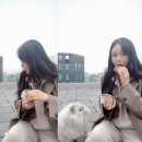 꽁냥꽁냥캣 이미지