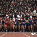 만경여행사