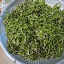 돌나물 볶음 이미지