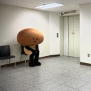 보은한의원 | 마법처럼 선명한 색채의 세상으로