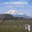 차밭매점 | 렌터카로 가본 시즈오카 오부치사사바 녹차밭 후기🌿 2월 겨울 후지산 뷰