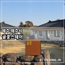 귤꽃스테이 | 제주도 단체 숙소 대가족 방4개 감성 숙소 귤꽃스테이 후기