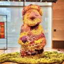 화요야간요가 | [제주도호텔추천] 제주 그랜드하얏트 호텔 코너스위트룸 가격및 수영장 룸서비스등 편의시설 알차게...