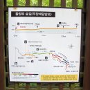 치악산 구룡사(龜龍寺) 계곡 트레킹① (2023년 8월2일, 수) 이미지