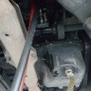 골드카클리닉 이미지