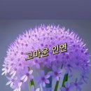 향기 이미지