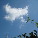 고흥재래시장 이미지