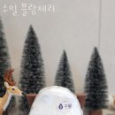 블랑제리 이미지