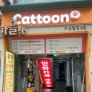 책고양이 | 만화책을 보러갔는데 고양이가 있다? [캣툰] 내돈내산 방문 후기!