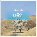 전동 31-3 공영주차장 | 경주 여행) 벚꽃 피기 시작할 때 다녀온 대릉원 후기 | 포토존 웨이팅 없이 인생샷 찍는 꿀팁 총정리