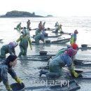 해남여행 1박2일 시티투어 이미지