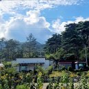 솔바람민박 이미지