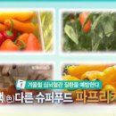 파프리카 푸드