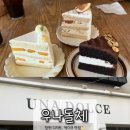 우나돌체