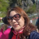 우리동네힐링샆 이미지