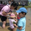 다인영농조합 | 2010-06-04 올가홀푸드 강원도 철원 모내기체험