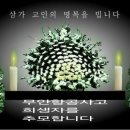 세계불교법왕청