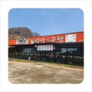 찐곰탕