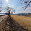 생극파크골프장 이미지