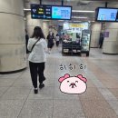 (주)한입소반 | [서울대학교암병원] 나의 진단명을 찾아서｜종로맛집도토리소반｜KTX특실｜서울역한정선웨이팅