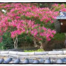 파산정(巴山亭) 이미지