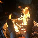 박사마을 | 춘천 박사마을 어린이글램핑장 내돈내산 후기-가족과 함께한 힐링 주말 캠핑 이야기