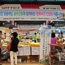 진도종합유통 이미지