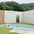 스테이 수림 이미지