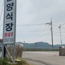 뷰나인아임파인 이미지