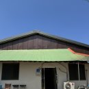 화촌마을회관 | 홍천 맛집 원미막국수 약밥닭 도토리묵 감자전까지 다 먹어봄