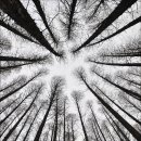 소래목장 이미지