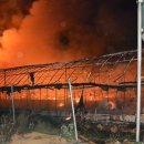 양계장닭한마리 이미지