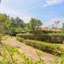 아리랑마을관광지 이미지