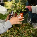 주식회사 희망나무 이미지