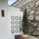 스테이 소예 이미지