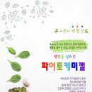 대한푸드테라피협회 네이버블로그