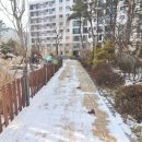 새마을부동산중개사사무소 이미지