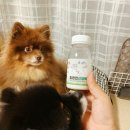 최정언산양목장 이미지