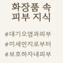 화장품속으로
