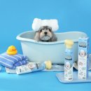 버블펫 | 펫생각 자동거품 버블 펫 샴푸 300ml 사용 후기 - 효과와 특징