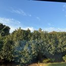 제주민박 제주잔잔 이미지