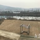 경안천 전대리 이미지