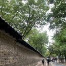 야간)민화·채색화·소묘 | 덕수궁 국립 현대 미술관 전시 일정 및 관람후기