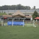 펫피랜드 이미지