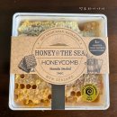 벌꿀집 | 식상한 안주는 그만!#2[벌꿀집 후기]