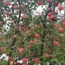 옥이농장 이미지