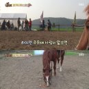 진강 이미지