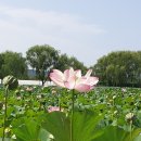 부여(사비)-08 이미지